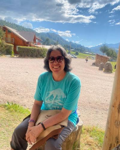 A woman sitting on a tree stump with a scenic mountain landscape in the background.